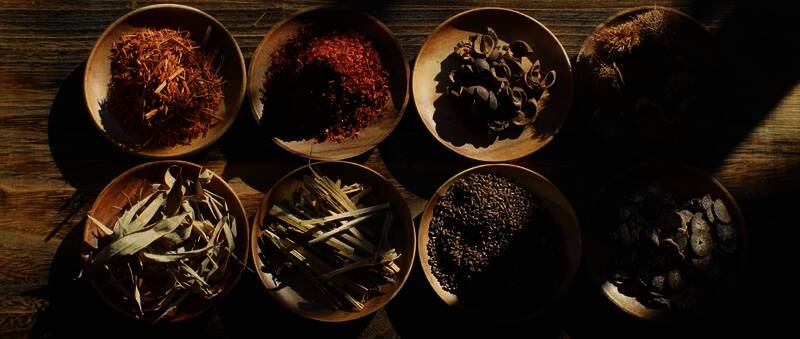 非遗植物染代表性传承人黄荣华老师选材工作图