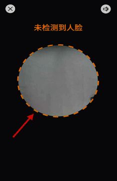 人脸识别认证界面图