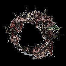 四时归焉奖励动态展示