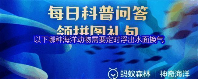 神奇海洋相关图片1