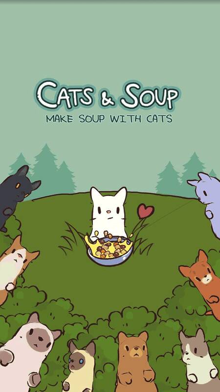 新猫咪欧西猫的图片