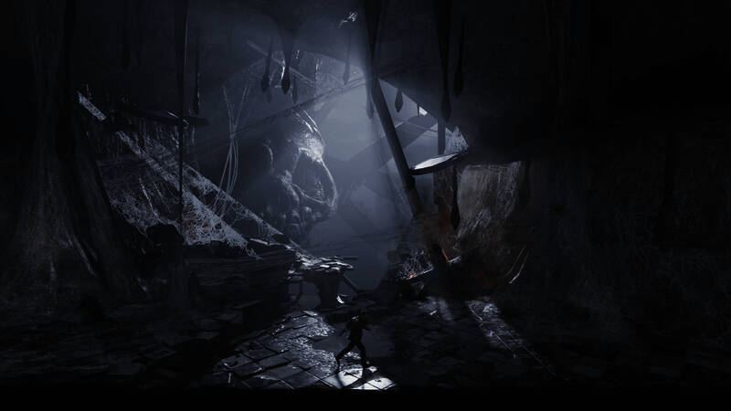 《金刚：绝境求生》相关图片7