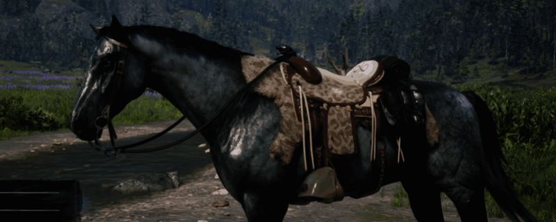 荒野大镖客2土库曼马相关图片1