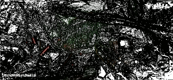 中式科幻元素彩蛋画面