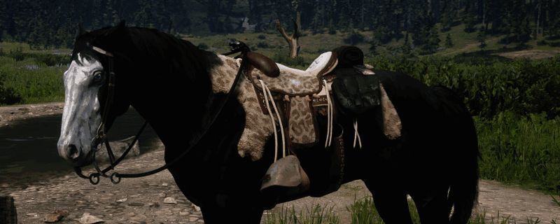 《荒野大镖客2》密苏里狐步马相关图片1