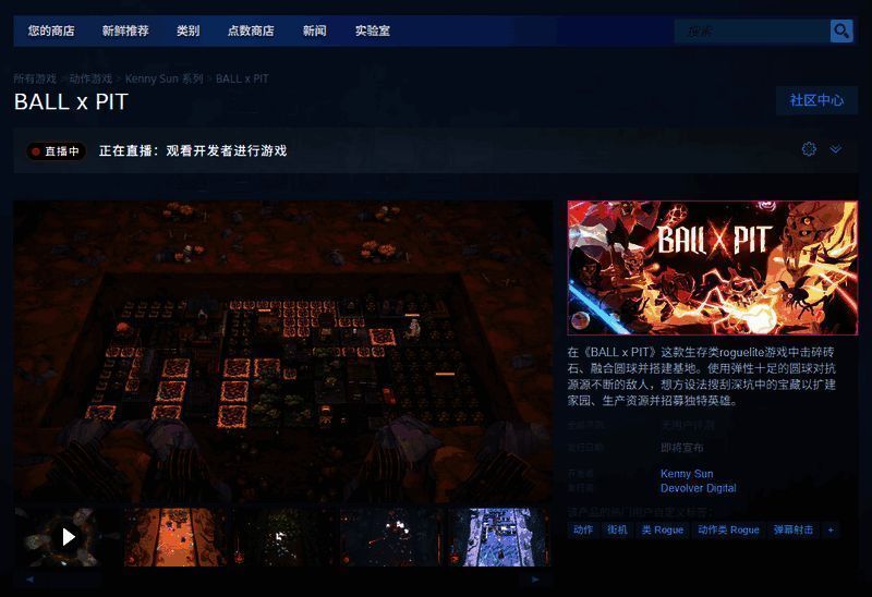 《BALL x PIT》Steam购买页面图片