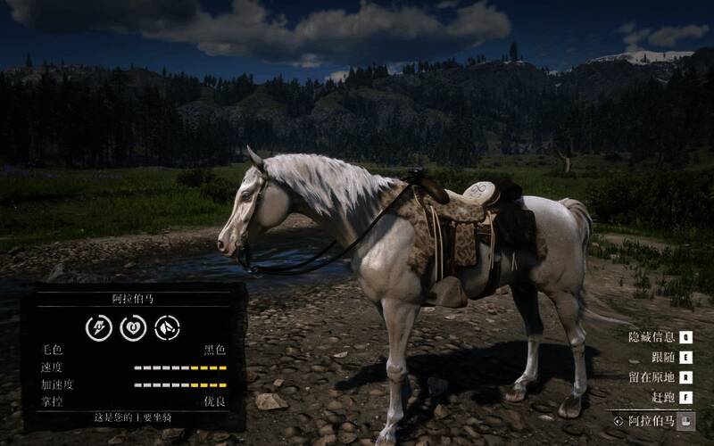 荒野大镖客2阿拉伯马图片2