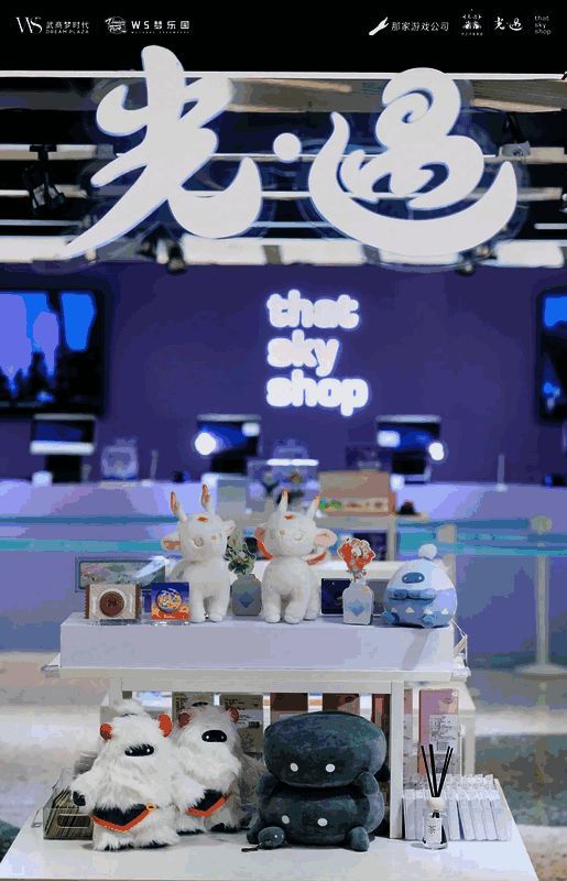 光之子友友会武汉站活动现场图片3