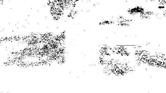 玩家探索石壁卦象动画