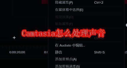 Camtasia软件相关展示图