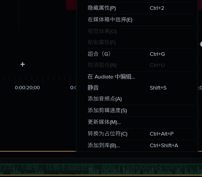 Camtasia音频轨道右键菜单图