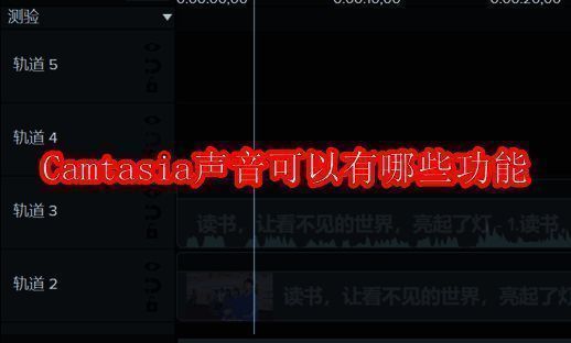 Camtasia相关界面图