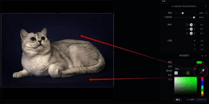 去除背景颜色的操作界面图