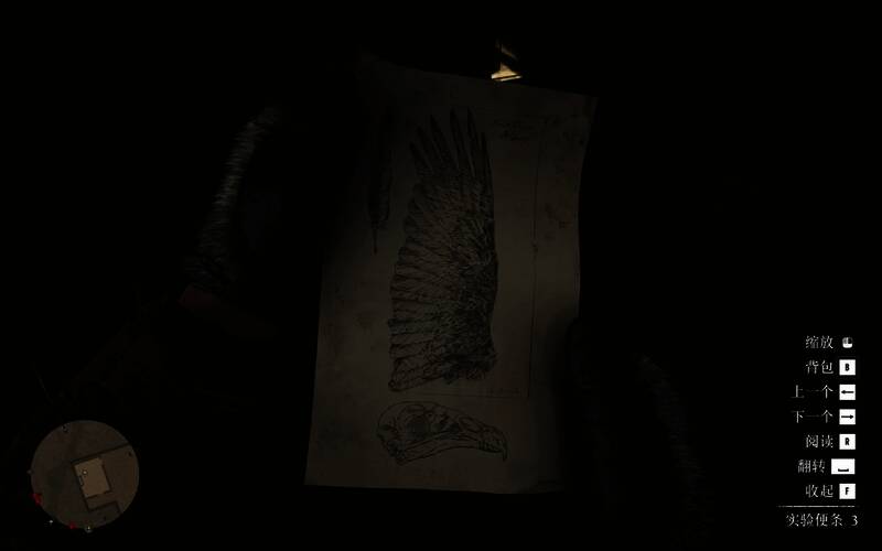 荒野大镖客2恐怖人体改造试验彩蛋中的实验记录3