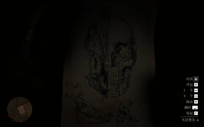 荒野大镖客2恐怖人体改造试验彩蛋中的实验记录4