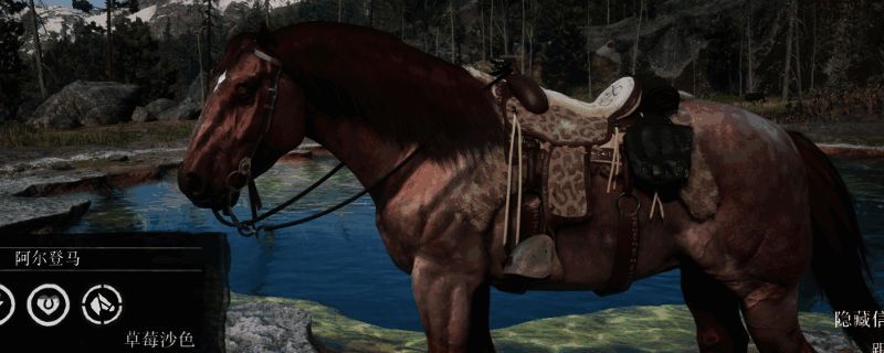 荒野大镖客2阿尔登马外观图