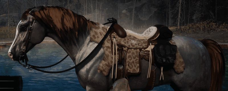 荒野大镖客2相关图片1