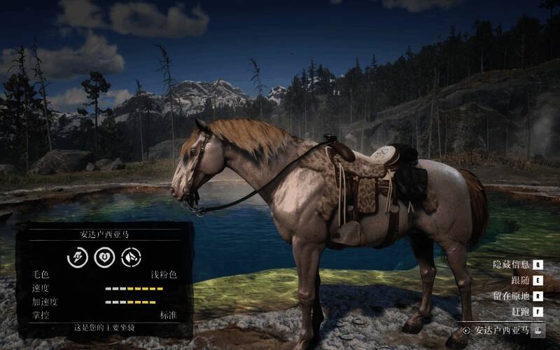 安达卢西亚马外观图