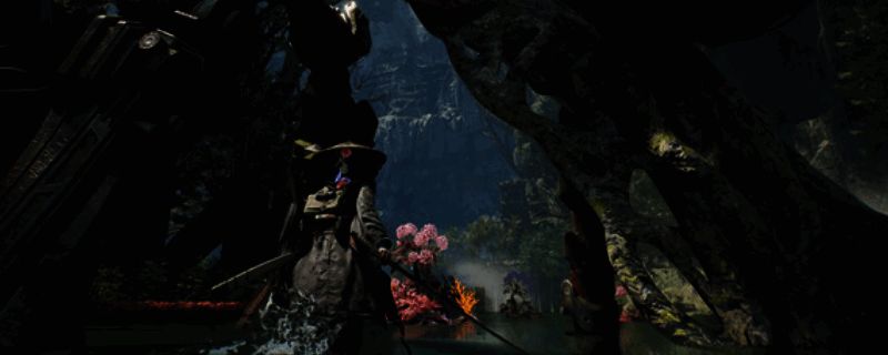 轮回之兽相关图片1