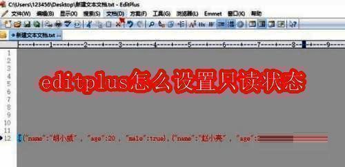 EditPlus软件相关界面图