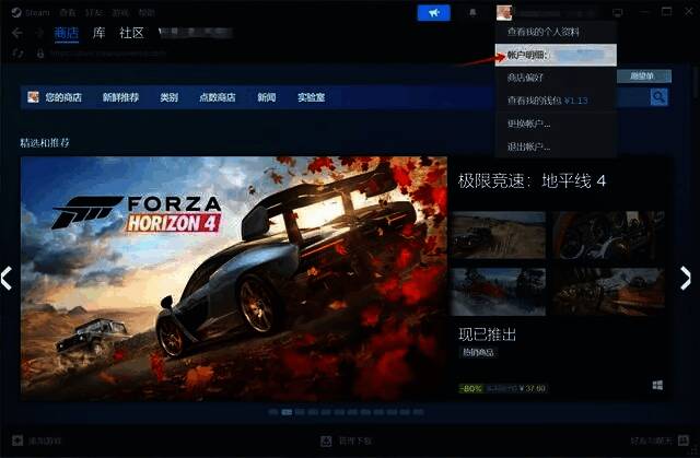 Steam账户详情页面图片