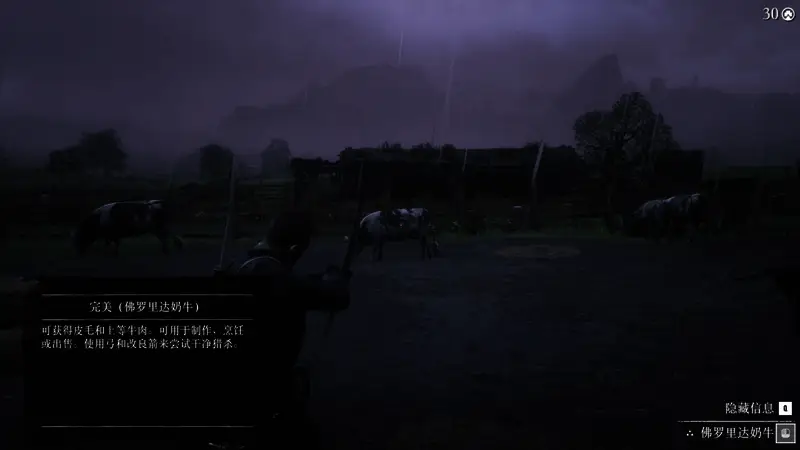 荒野大镖客2武器展示图4