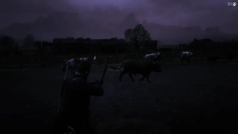 荒野大镖客2武器展示图5