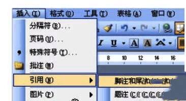 Word 2007引用功能选项卡界面特写