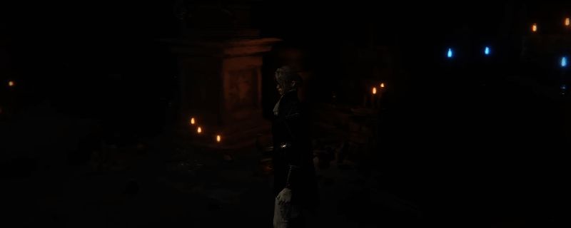 艾尔登法环黑夜君临游戏画面展示女爵使用短剑的战斗场景