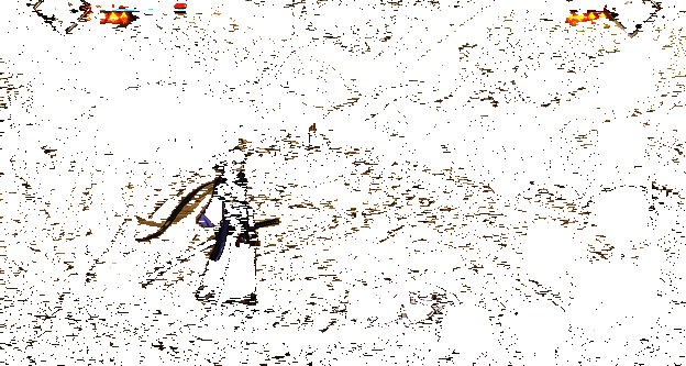 常态下地面普攻动作展示,包括火炎阵发动特效