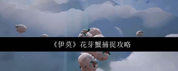 花芽蟹在潮湿岩缝中活动的自然场景