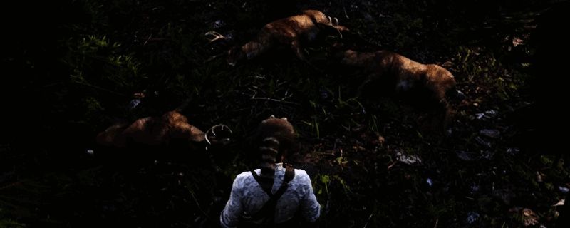 《荒野大镖客2》游戏画面展示角色使用毒箭射杀大型野生动物的瞬间