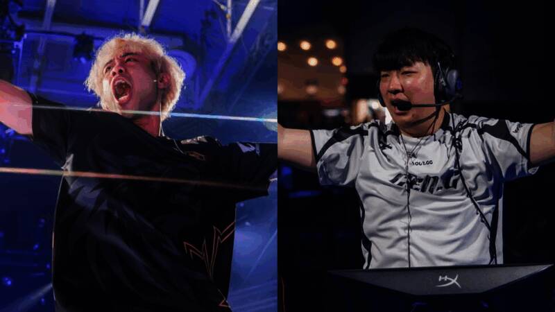 狼队队员激情庆祝胜利,现场观众欢呼雀跃