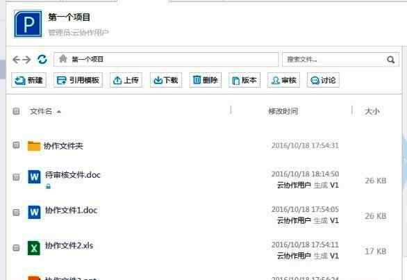 项目文件管理界面展示,文件列表清晰排列并附带操作按钮