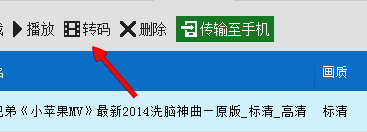 转码选项界面截图,显示选中视频后的转码按钮