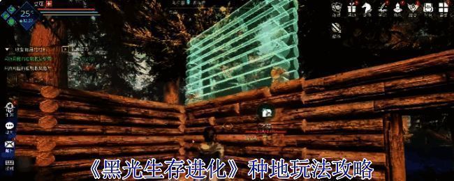 《黑光生存进化》农作物种植场景，阳光洒落在整齐排列的田地中