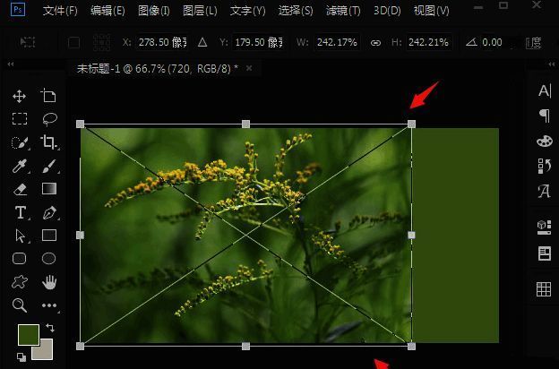 图层面板选中图片并准备添加白色底色蒙版