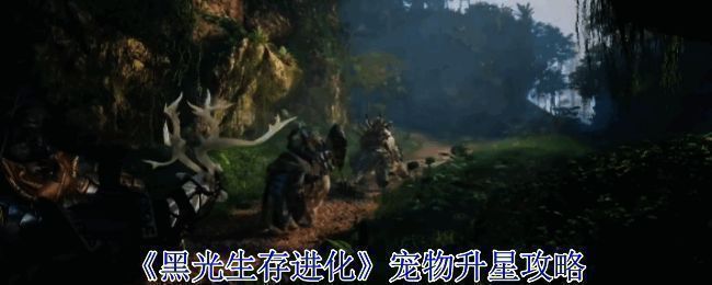 宠物升星界面展示,显示当前星级与所需材料