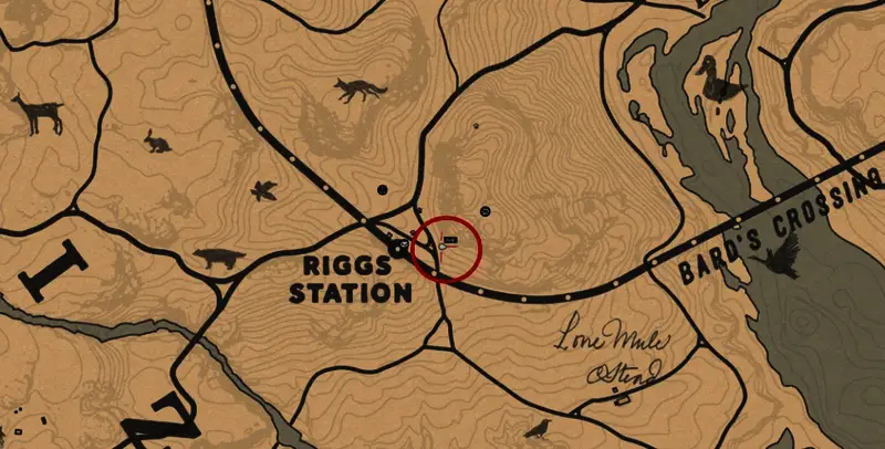 负鼠躺在地上装死,玩家准备出手