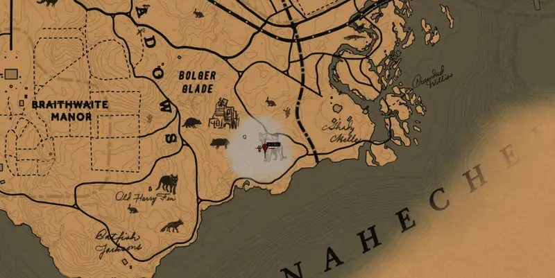 玩家手持霰弹枪面对潜伏四周的传说级山狮