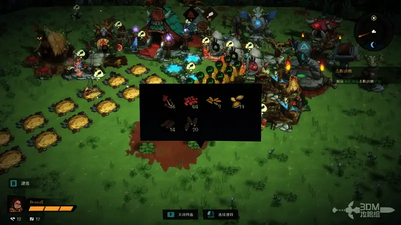 浆果种植区全景图，作物整齐排列，部分已经结果