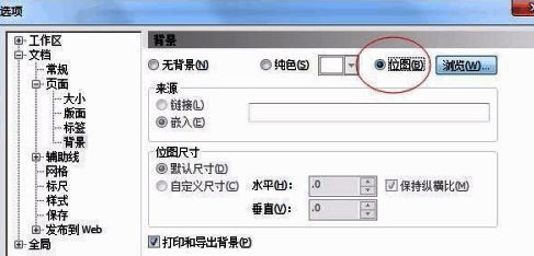 CorelDraw X4背景设置界面，展示位图背景选项的选择方式