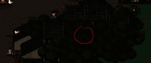 荷花鸭及周边图片