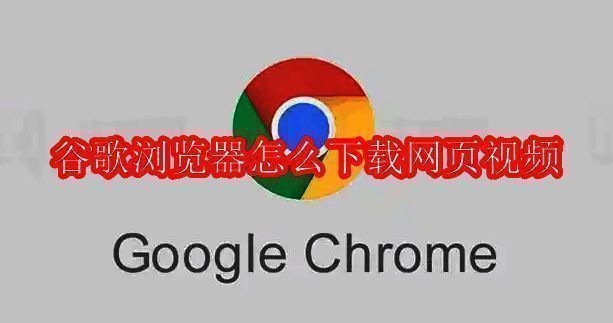 谷歌浏览器介绍配图