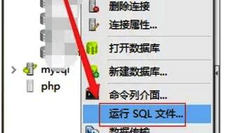 选择运行SQL文件选项的界面图