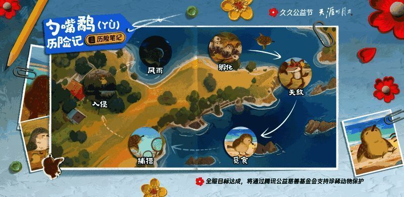 勺嘴鹬成长相关图片