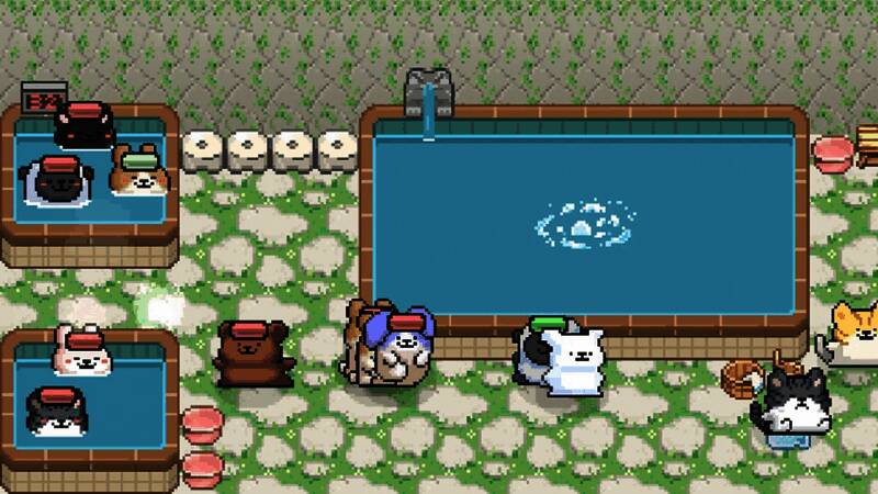 《动物温泉》游戏截图3