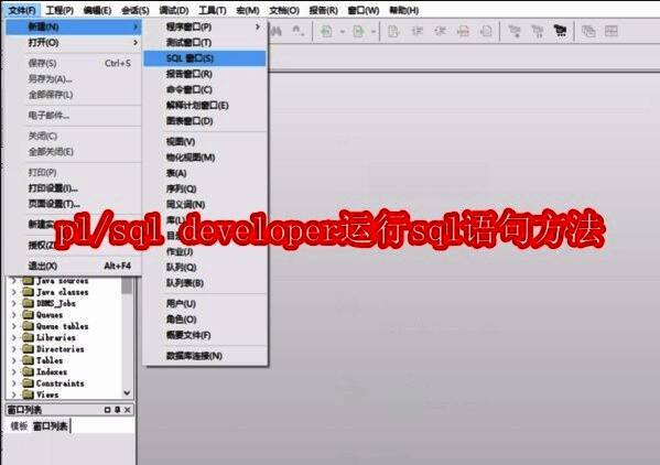 pl/sql developer相关配图1