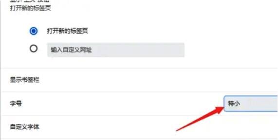 谷歌浏览器字体大小设置生效后页面图片