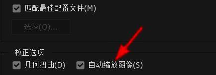 Photoshop自动缩放图像界面